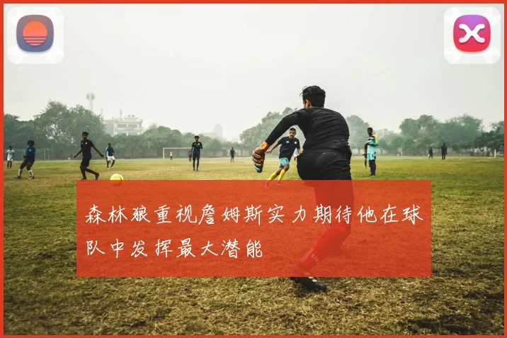 森林狼重视詹姆斯实力期待他在球队中发挥最大潜能
